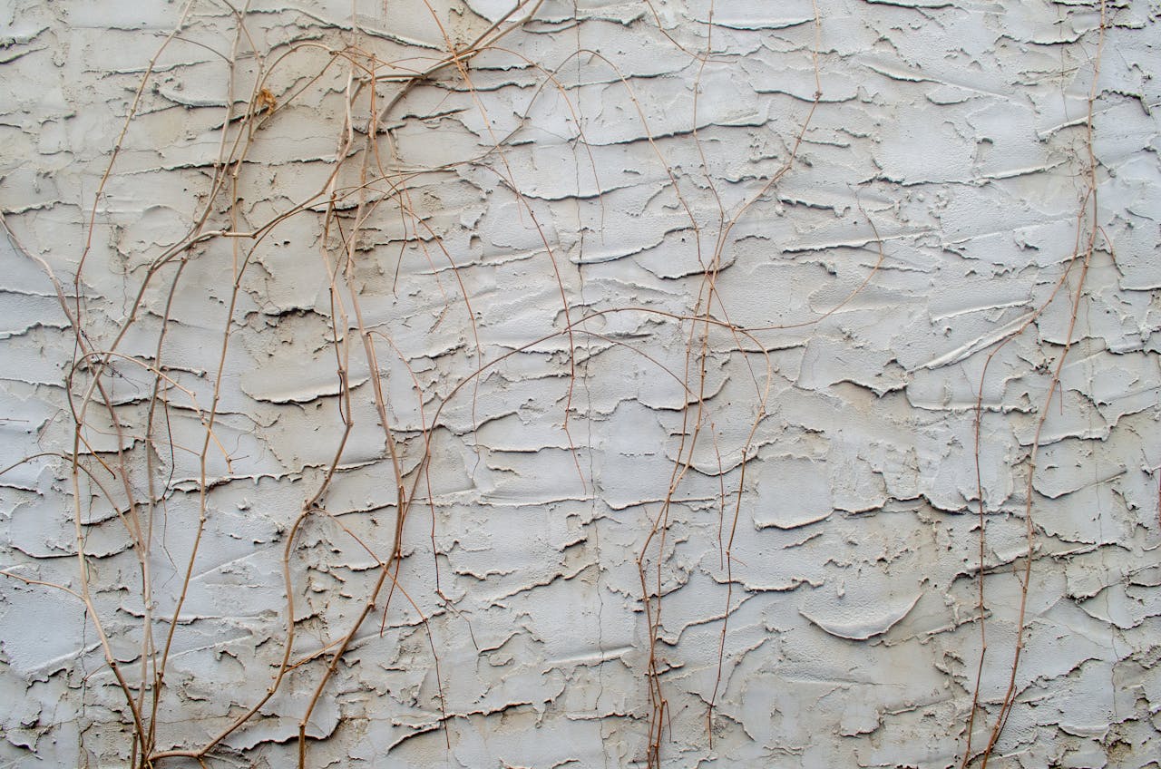 Textura